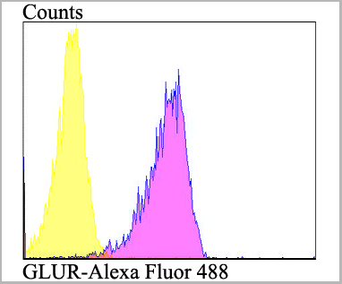 product-image-AAA29941_FCM6.jpg