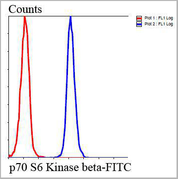 product-image-AAA29952_FCM9.jpg