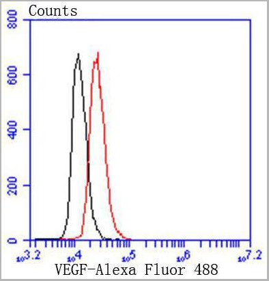 product-image-AAA30018_FCM10.jpg