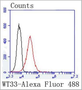 product-image-AAA30123_FCM8.jpg