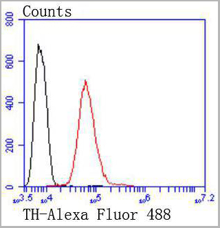 product-image-AAA30209_FCM6.jpg