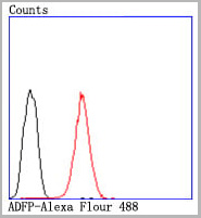 product-image-AAA30342_FCM4.jpg