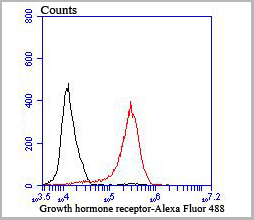 product-image-AAA30413_FCM6.jpg