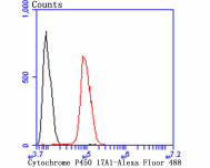 product-image-AAA30461_FCM7.jpg