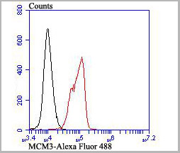 product-image-AAA30464_FCM9.jpg