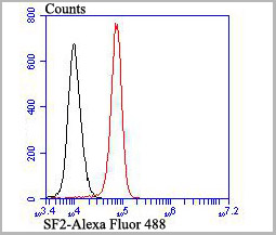 product-image-AAA30465_FCM8.jpg