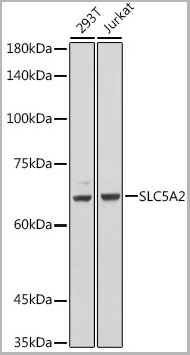 product-image-AAA30730_WB.jpg