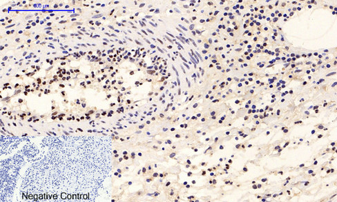 product-image-AAA30747_IHC5.png
