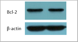 product-image-AAA30800_APP8.png