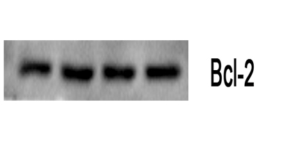 product-image-AAA30800_WB7.png