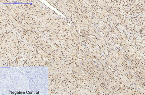product-image-AAA30801_IHC6.png