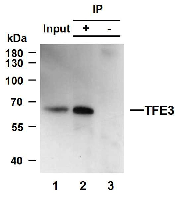 product-image-AAA30850_IP.png