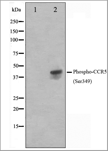 product-image-AAA30921_WB.jpg