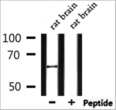 product-image-AAA30926_WB6.jpg