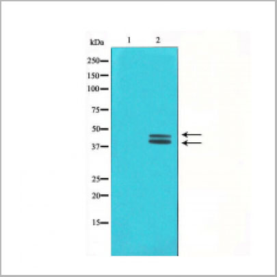product-image-AAA30930_WB8.jpg