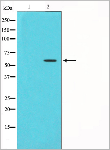 product-image-AAA30939_WB3.jpg