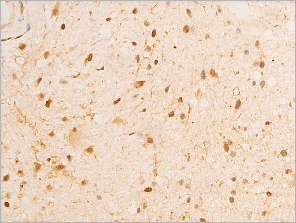 product-image-AAA30940_IHC9.jpg