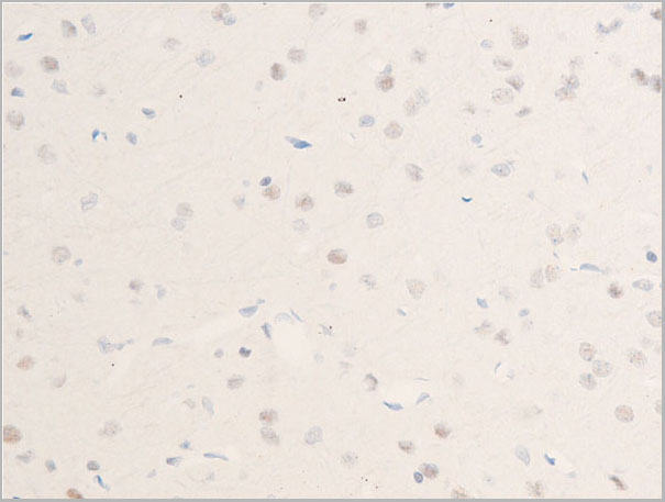 product-image-AAA30947_IHC9.jpg