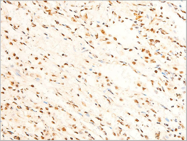product-image-AAA30954_IHC7.jpg