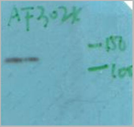product-image-AAA30955_WB2.jpg