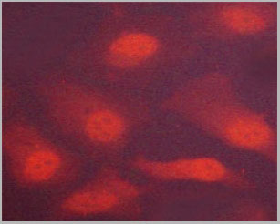 product-image-AAA30958_IF12.jpg