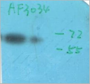product-image-AAA30958_WB10.jpg
