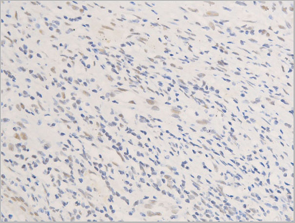 product-image-AAA30963_IHC7.jpg