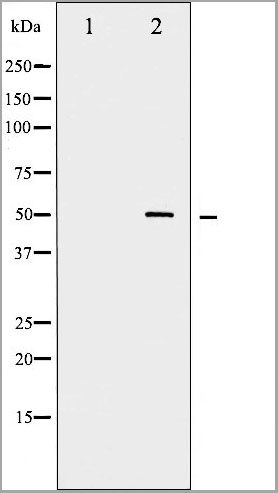 product-image-AAA30965_WB9.jpg