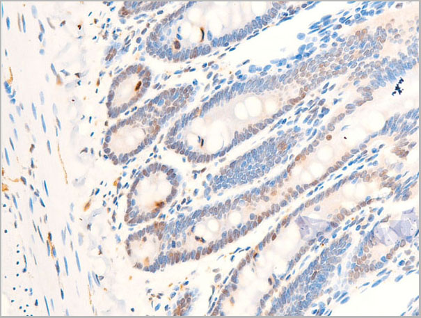 product-image-AAA30966_IHC9.jpg