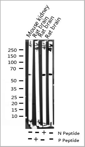 product-image-AAA30966_WB10.jpg