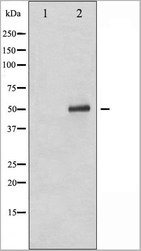 product-image-AAA30976_WB14.jpg
