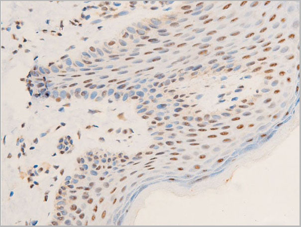 product-image-AAA30982_IHC5.jpg