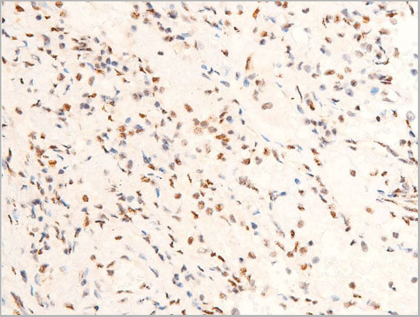 product-image-AAA30982_IHC7.jpg