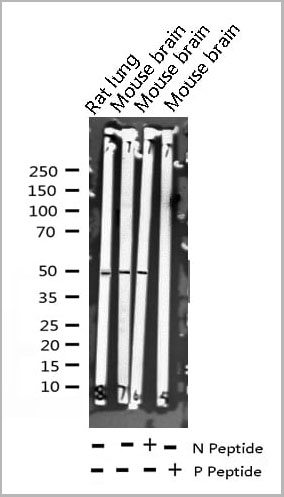 product-image-AAA30982_WB11.jpg