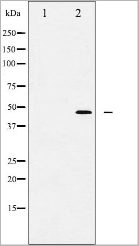 product-image-AAA30982_WB12.jpg