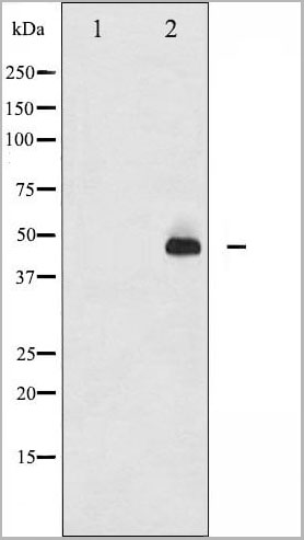 product-image-AAA30983_WB11.jpg