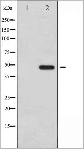 product-image-AAA30984_WB11.jpg
