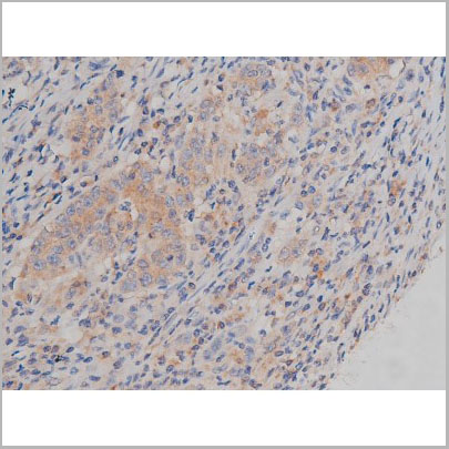 product-image-AAA30986_IHC7.jpg