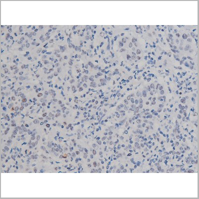 product-image-AAA30987_IHC9.jpg