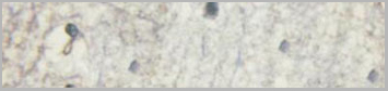 product-image-AAA30989_IHC2.jpg