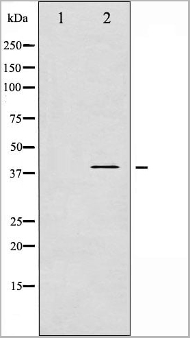 product-image-AAA30989_WB7.jpg