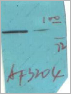 product-image-AAA31020_WB3.jpg