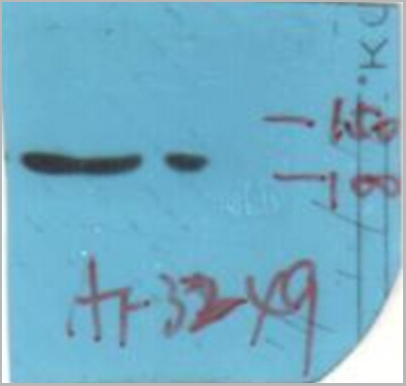 product-image-AAA31028_WB4.jpg