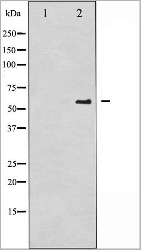 product-image-AAA31029_WB15.jpg