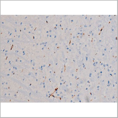 product-image-AAA31030_IHC7.jpg