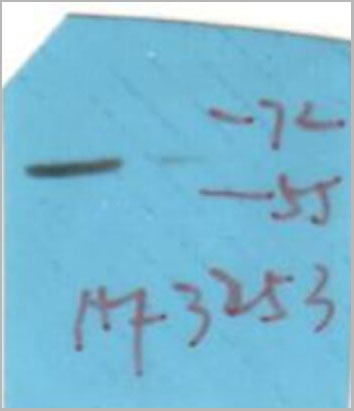 product-image-AAA31030_WB2.jpg