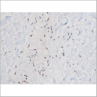 product-image-AAA31042_IHC5.jpg