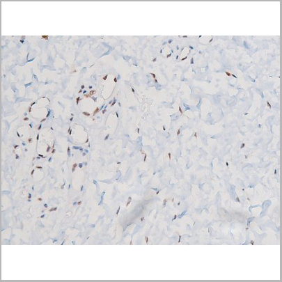 product-image-AAA31042_IHC6.jpg