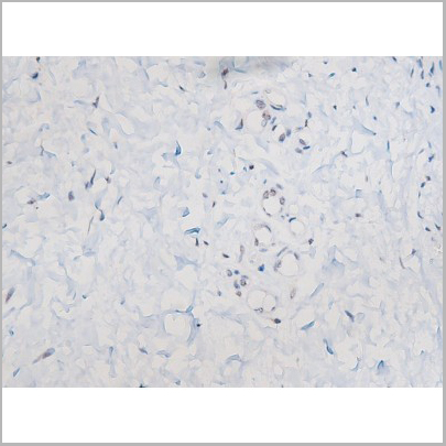 product-image-AAA31043_IHC6.jpg
