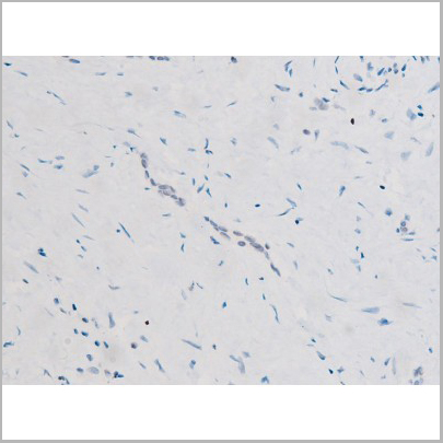product-image-AAA31052_IHC5.jpg